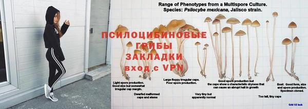 ALPHA PVP Алексеевка