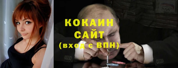 мет Алексин