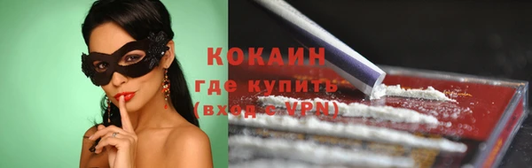 мет Алексин