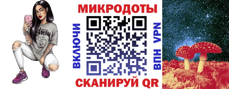 Псилоцибиновые грибы мицелий Новошахтинск